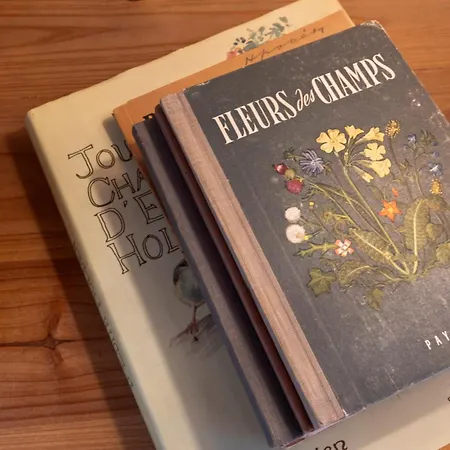 With Balcony And Alpine View * Ollon