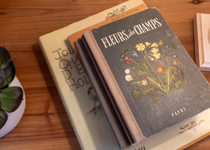 With Balcony And Alpine View * Ollon